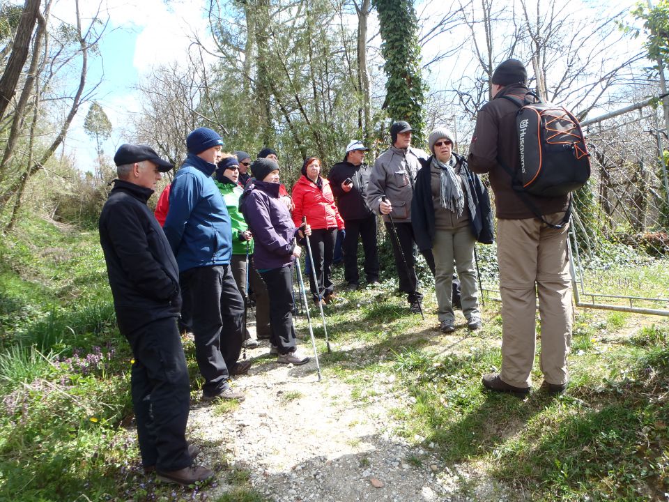 20150406 Po Lendavskih goricah - foto povečava