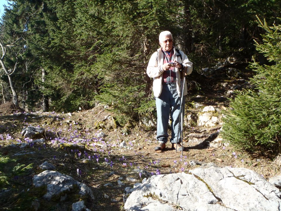 20150423 Velika planina v cvetju - foto povečava