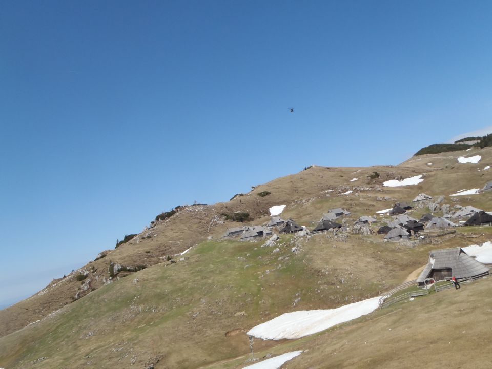 20150423 Velika planina v cvetju - foto povečava