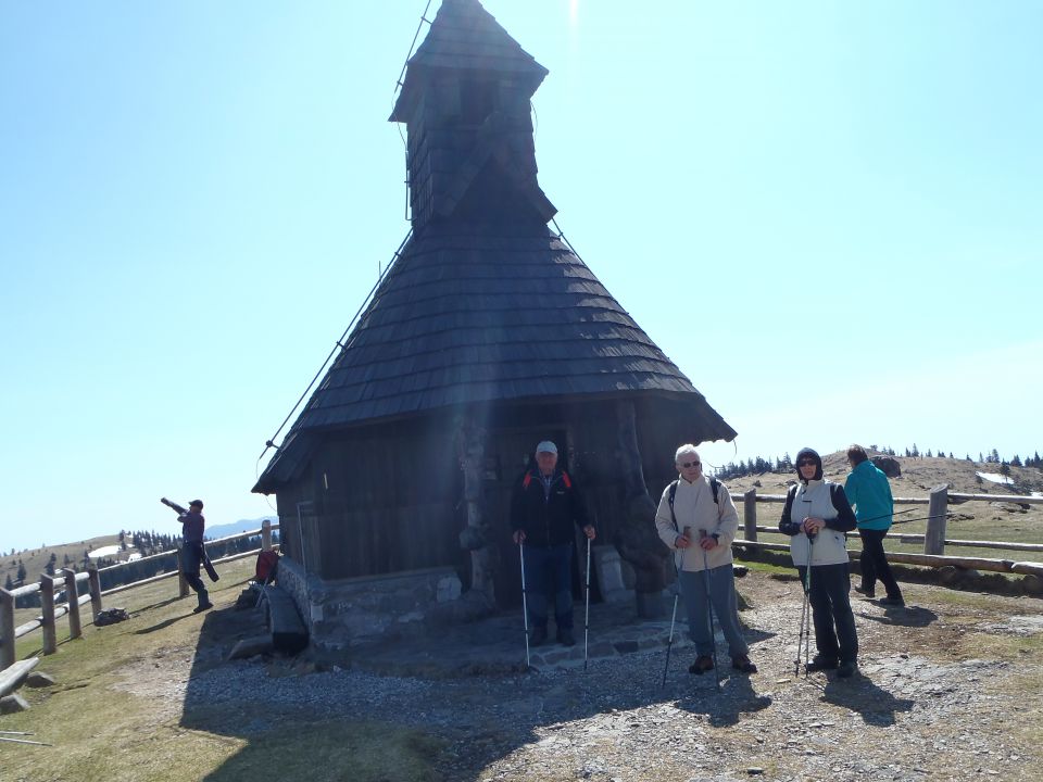 20150423 Velika planina v cvetju - foto povečava