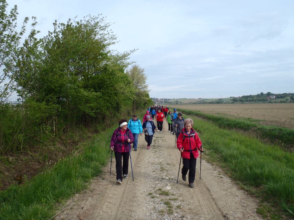 20150501 40-let pd Lenart  pohod na Zavrh - foto povečava