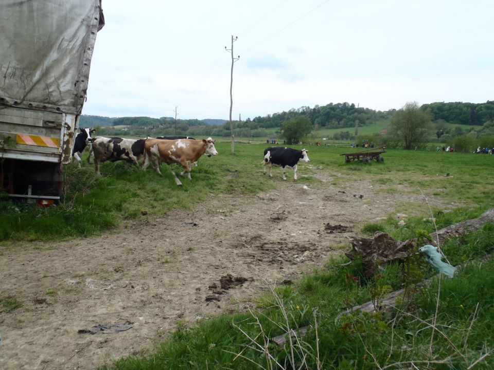 20150501 40-let pd Lenart  pohod na Zavrh - foto povečava