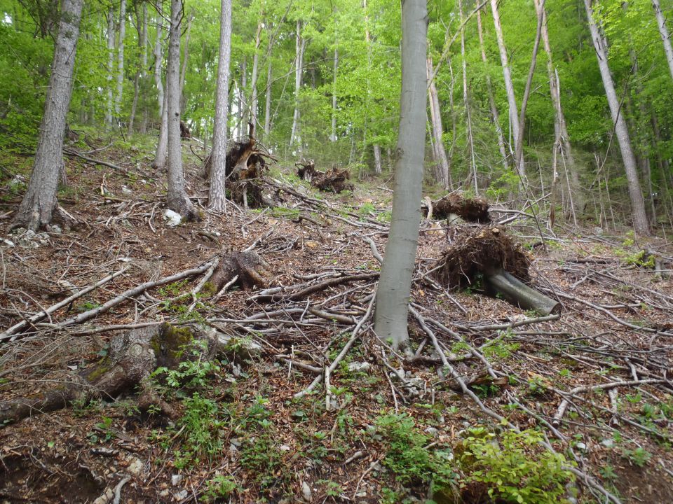 20150503 Bele vode,Lubela,kmetija Karničnik - foto povečava