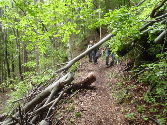 20150503 Bele vode,Lubela,kmetija Karničnik - foto