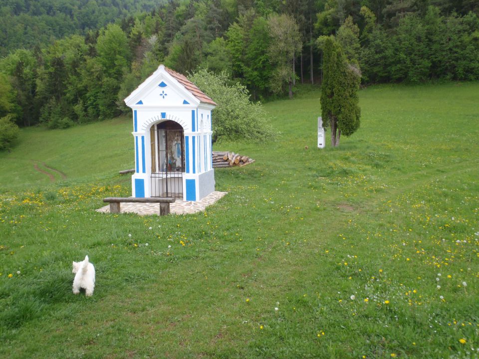 20150503 Bele vode,Lubela,kmetija Karničnik - foto povečava