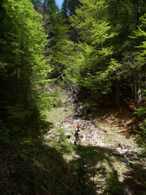 20150510 Martuljški slap. in Trupejevo poldne - foto