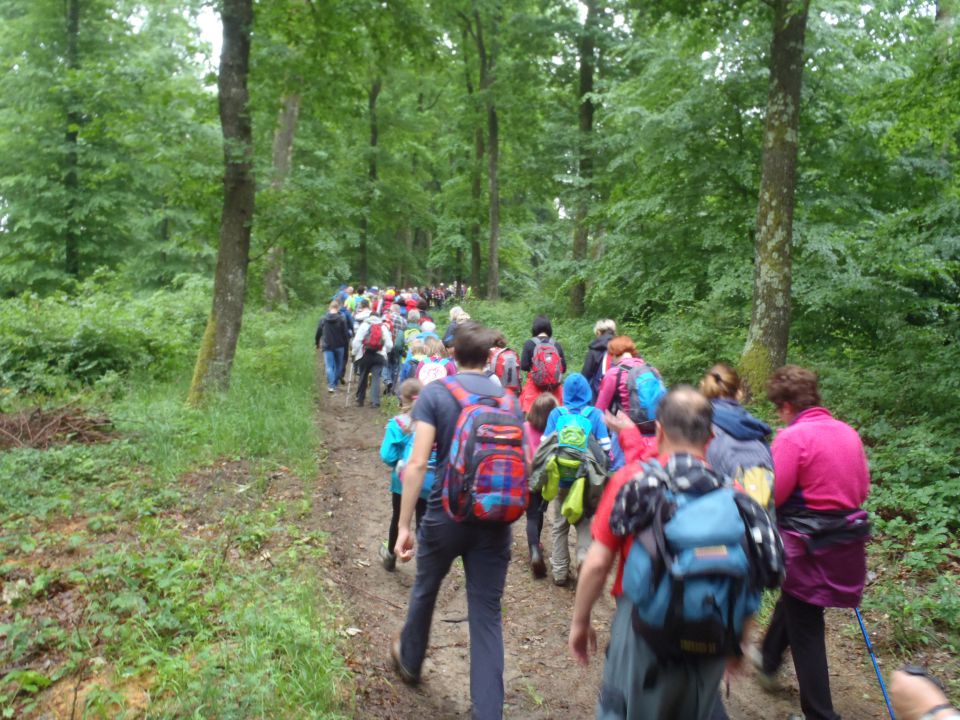 20150516 PD Lendava-pohod in razvitje prapora - foto povečava