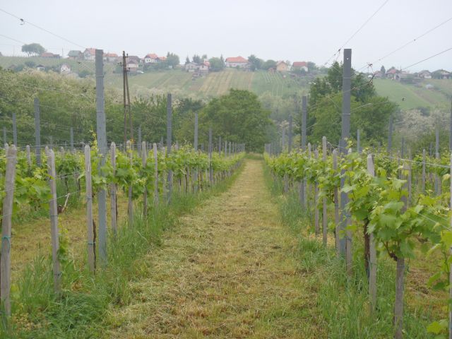 20150516 PD Lendava-pohod in razvitje prapora - foto