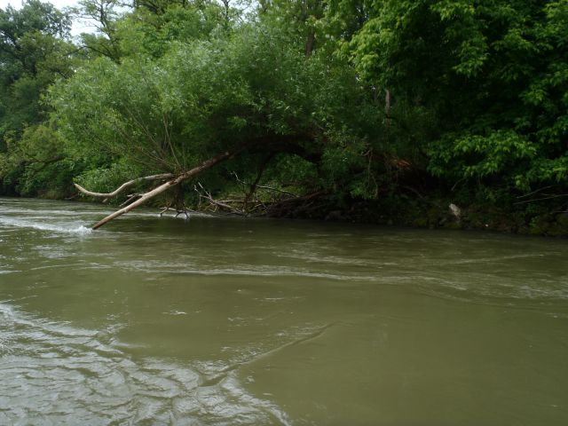 20150531 Dimek-Hrovatov memor.-spust po Muri - foto