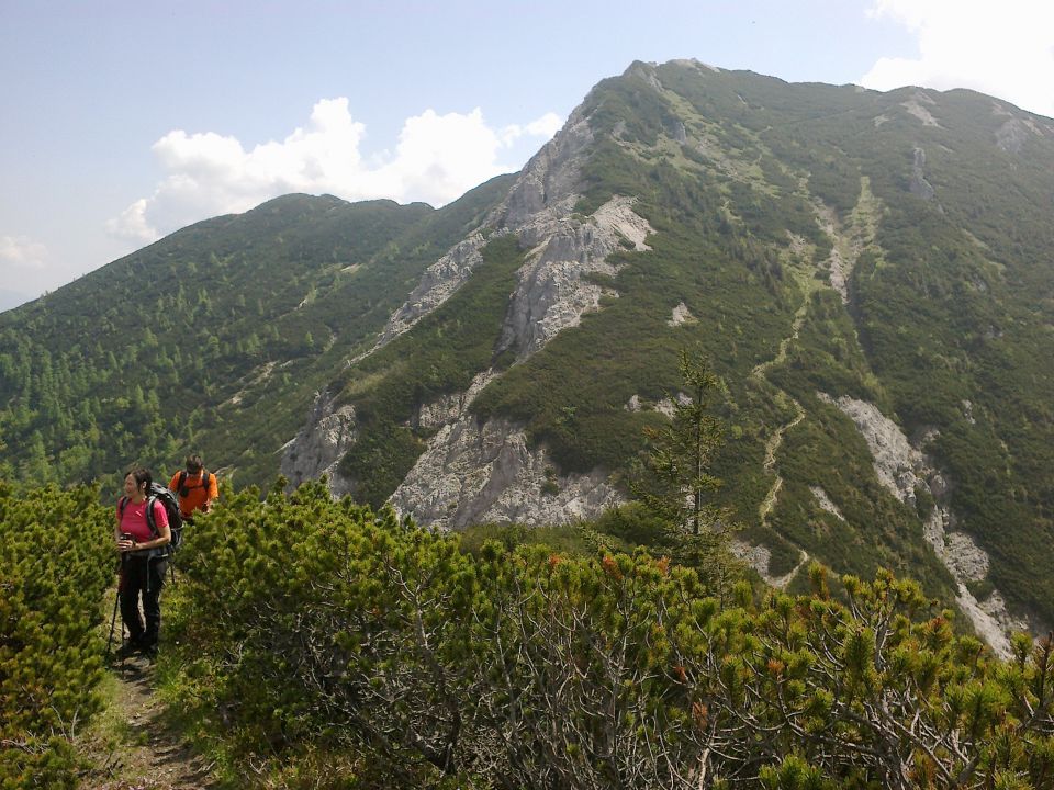 Pot na Bašeljski vrh in razgled nazaj na Mali Grintovec