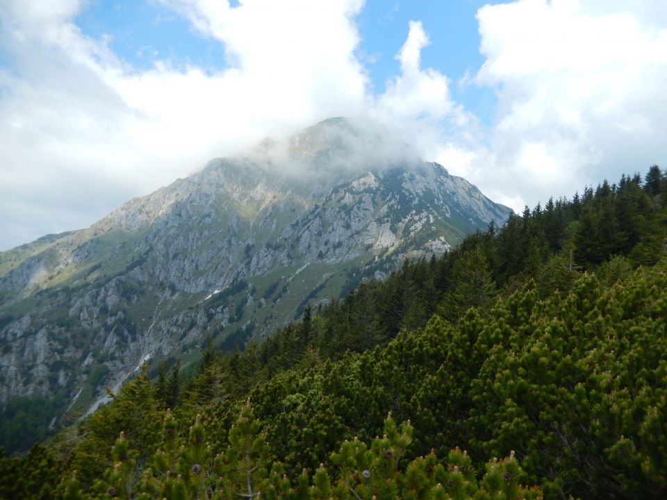 Razgled s poti na Storžič