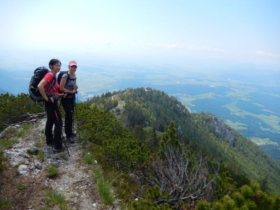 Pot proti Domu na Kališču