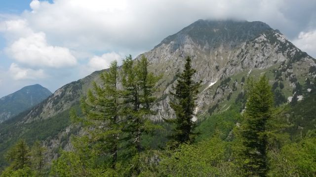 Razgled od Doma na Kališču na Tolsti vrh (levo) in Storžič (desno)