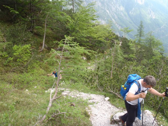 20150607 Roban.k.,Žvižgovec-V.Vrh-V.Zelenica - foto