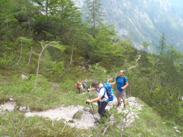 20150607 Roban.k.,Žvižgovec-V.Vrh-V.Zelenica - foto