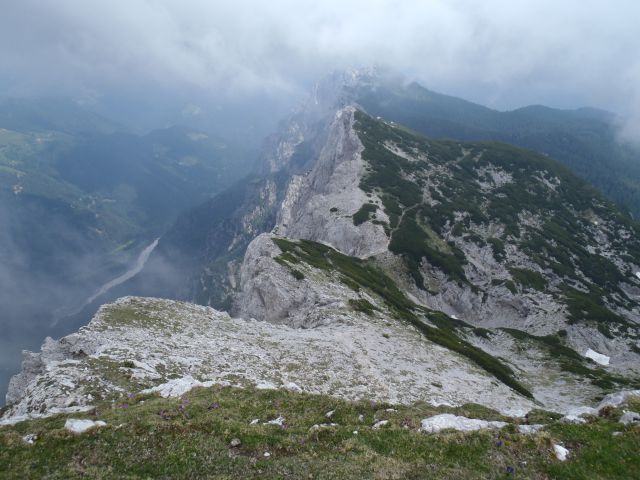 20150607 Roban.k.,Žvižgovec-V.Vrh-V.Zelenica - foto