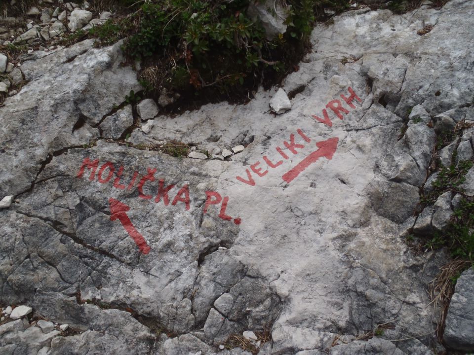 20150607 Roban.k.,Žvižgovec-V.Vrh-V.Zelenica - foto povečava