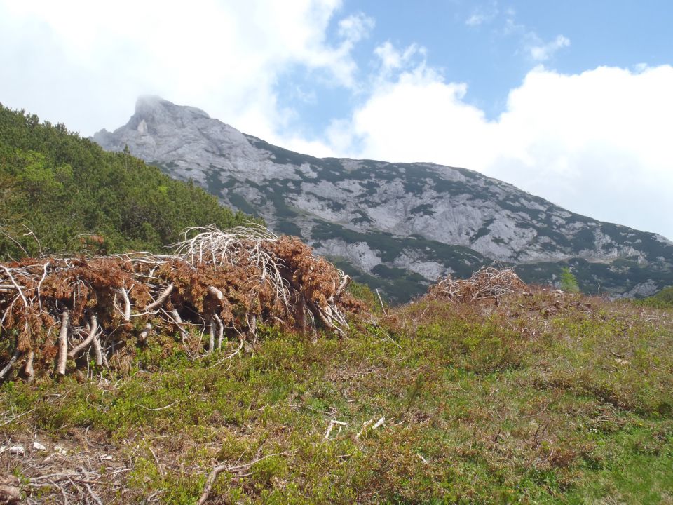 Vel.Zelenica levo in desno V.V.