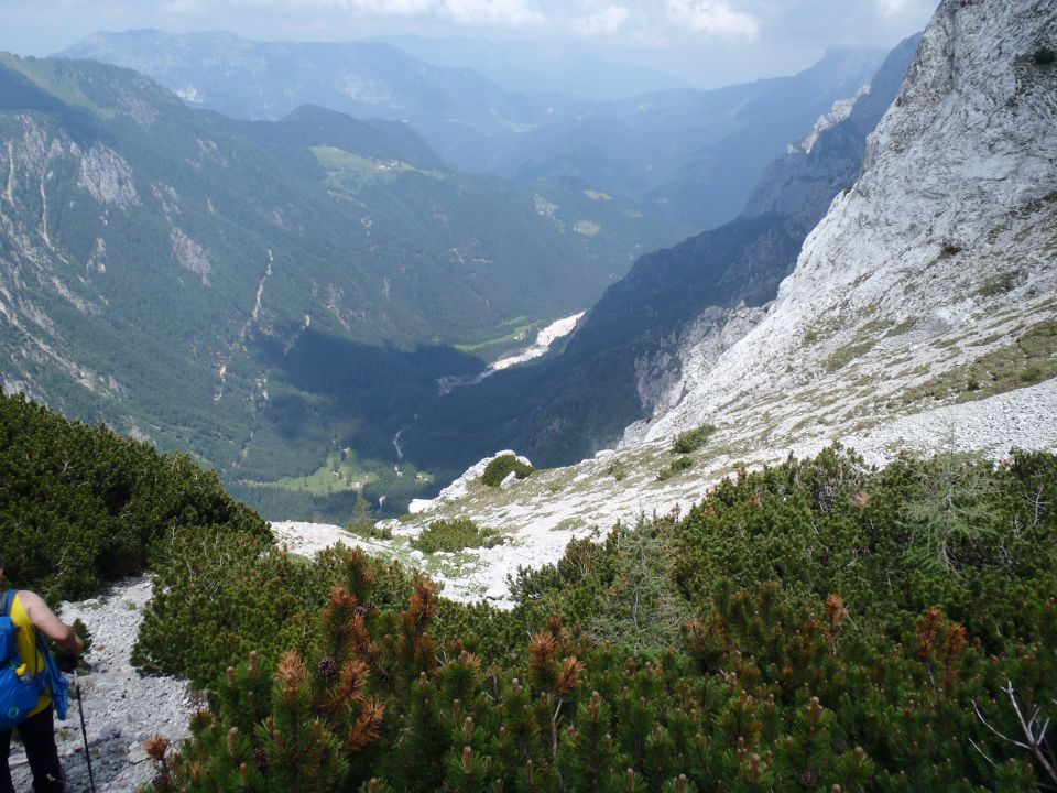 20150607 Roban.k.,Žvižgovec-V.Vrh-V.Zelenica - foto povečava