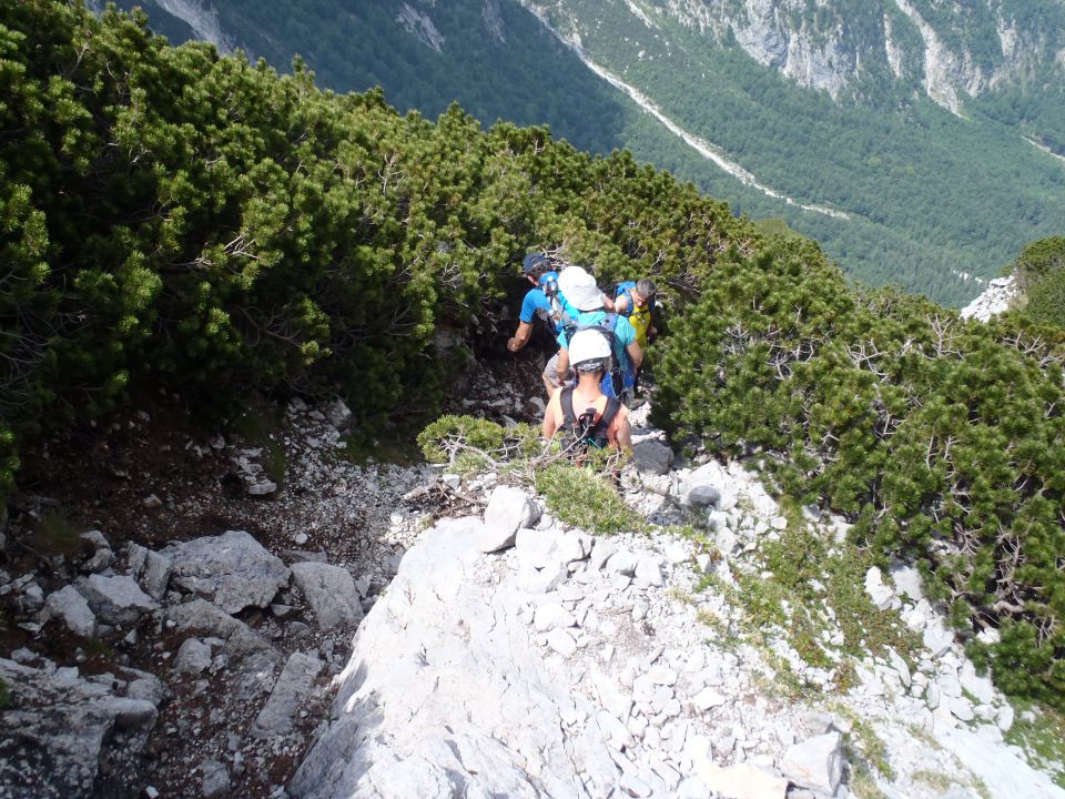 20150607 Roban.k.,Žvižgovec-V.Vrh-V.Zelenica - foto povečava