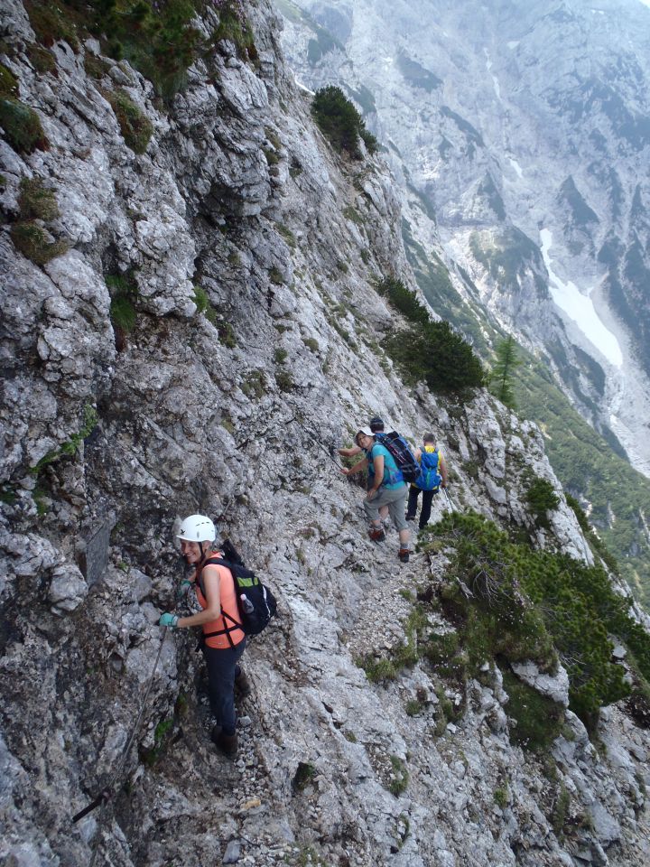 20150607 Roban.k.,Žvižgovec-V.Vrh-V.Zelenica - foto povečava