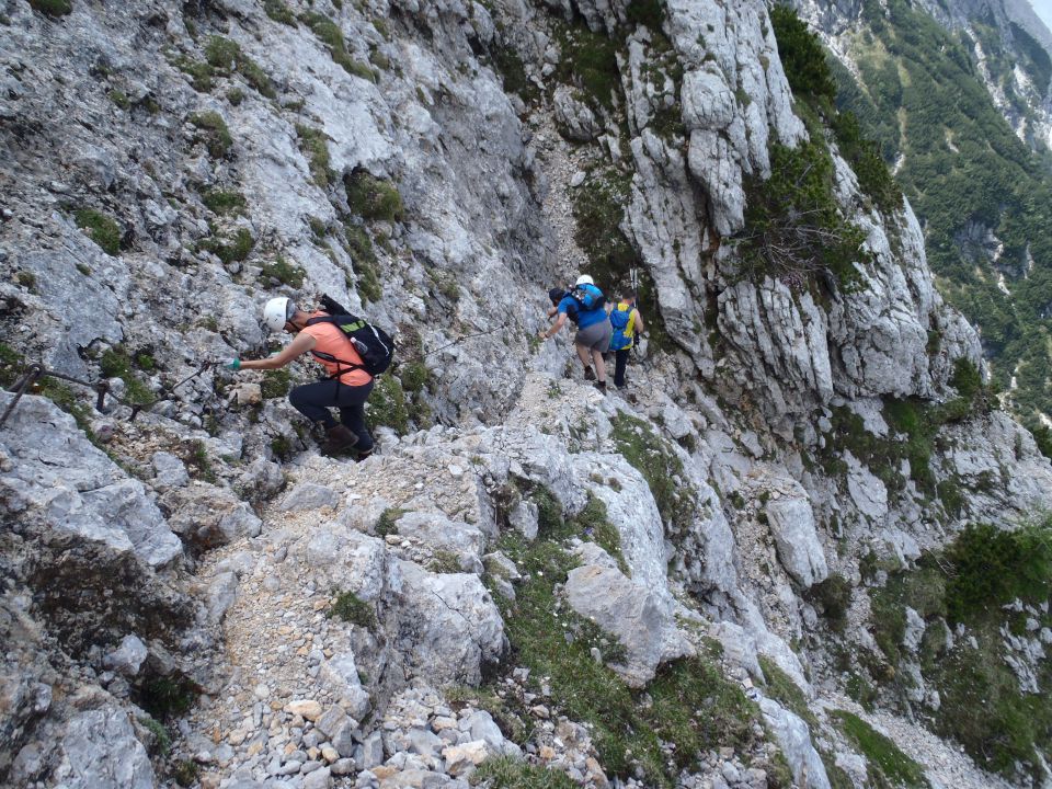 20150607 Roban.k.,Žvižgovec-V.Vrh-V.Zelenica - foto povečava