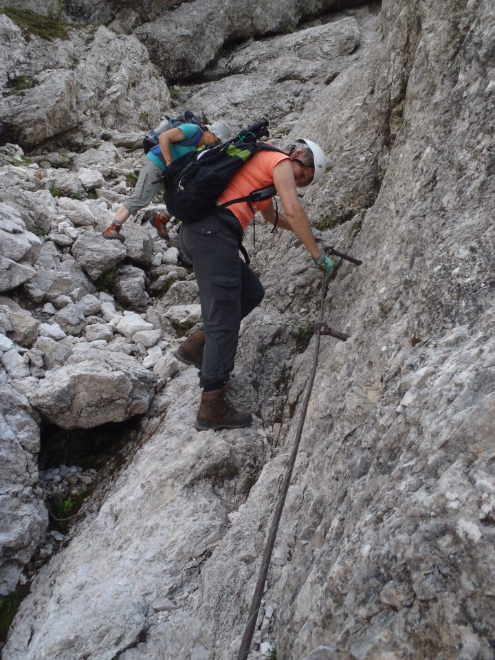 20150607 Roban.k.,Žvižgovec-V.Vrh-V.Zelenica - foto povečava