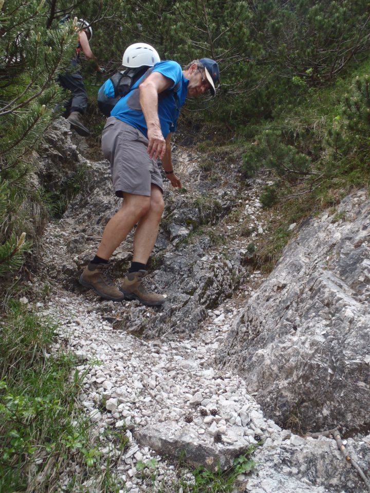 20150607 Roban.k.,Žvižgovec-V.Vrh-V.Zelenica - foto povečava