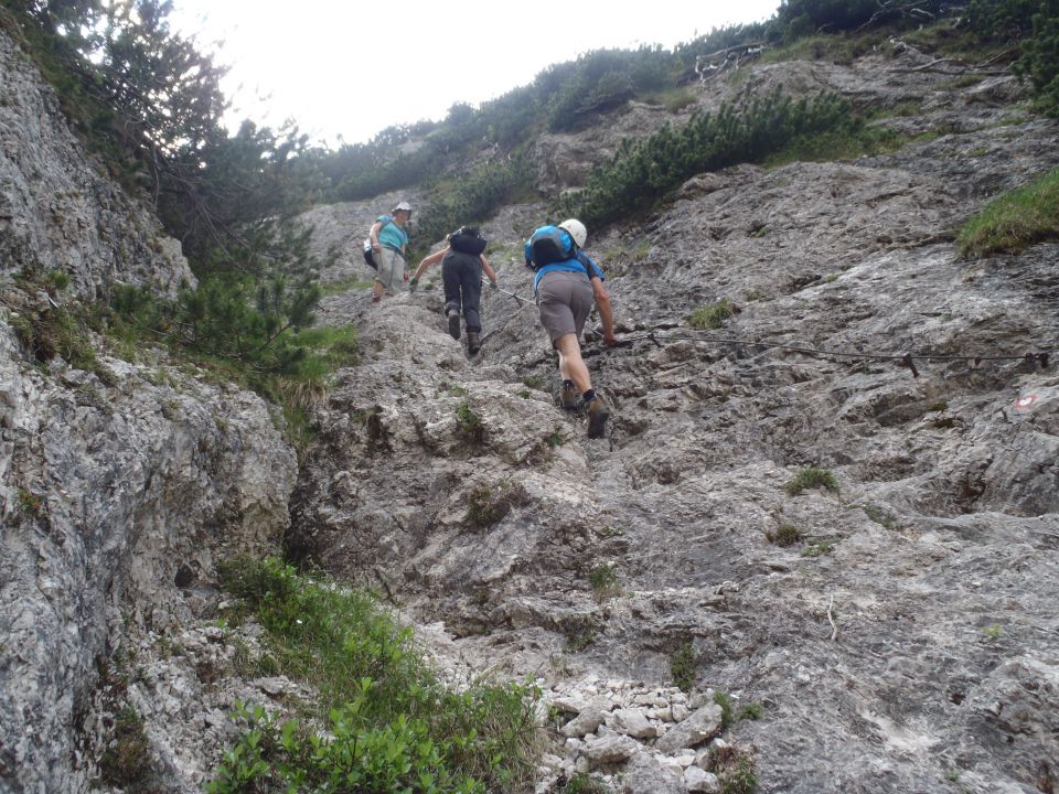 20150607 Roban.k.,Žvižgovec-V.Vrh-V.Zelenica - foto povečava