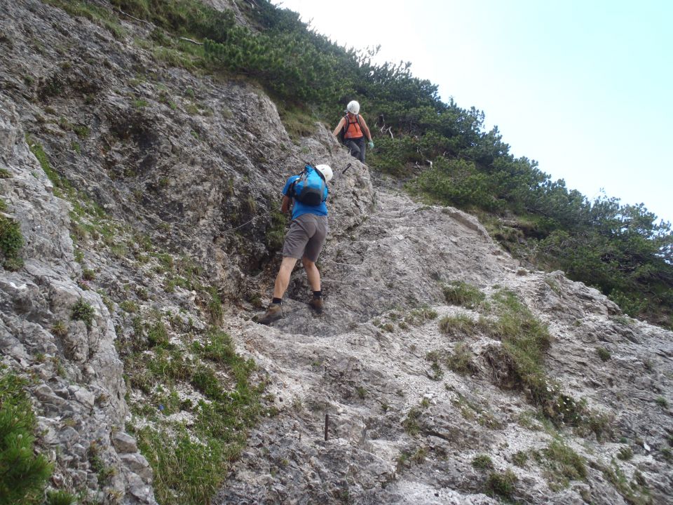 20150607 Roban.k.,Žvižgovec-V.Vrh-V.Zelenica - foto povečava