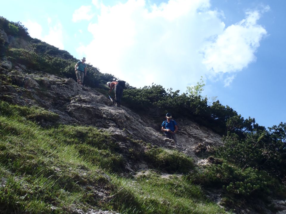 20150607 Roban.k.,Žvižgovec-V.Vrh-V.Zelenica - foto povečava