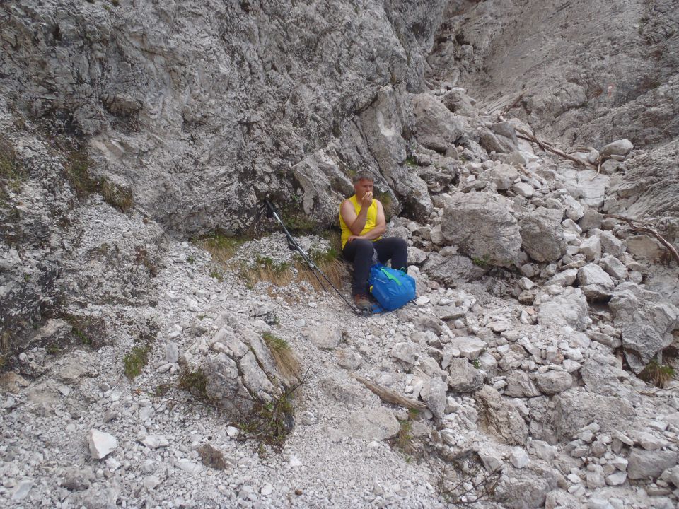 20150607 Roban.k.,Žvižgovec-V.Vrh-V.Zelenica - foto povečava