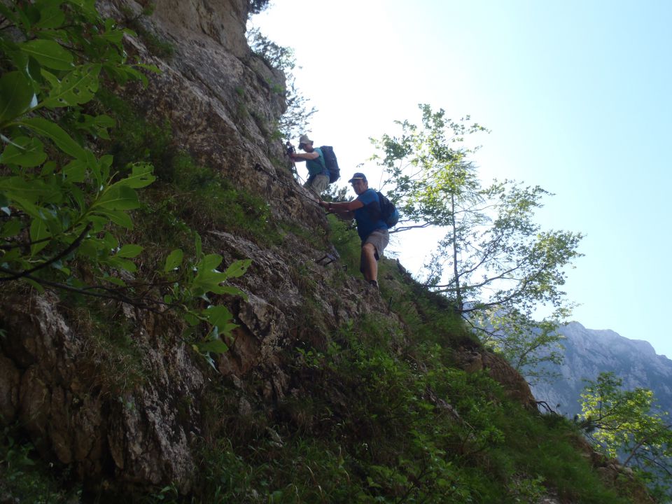 20150607 Roban.k.,Žvižgovec-V.Vrh-V.Zelenica - foto povečava