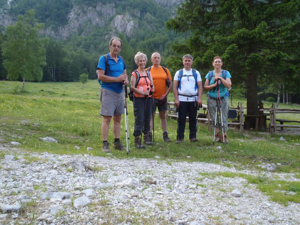 20150607 Roban.k.,Žvižgovec-V.Vrh-V.Zelenica - foto povečava