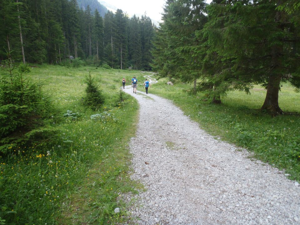 20150607 Roban.k.,Žvižgovec-V.Vrh-V.Zelenica - foto povečava