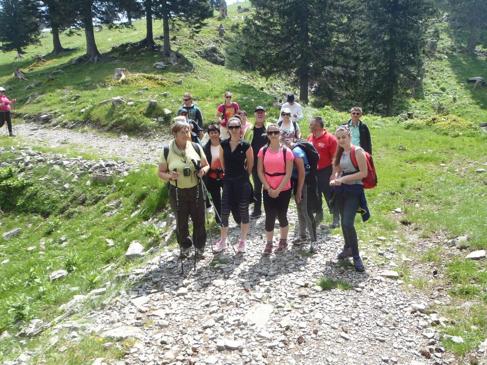 20150530 Velika planina TD Melinci - foto povečava