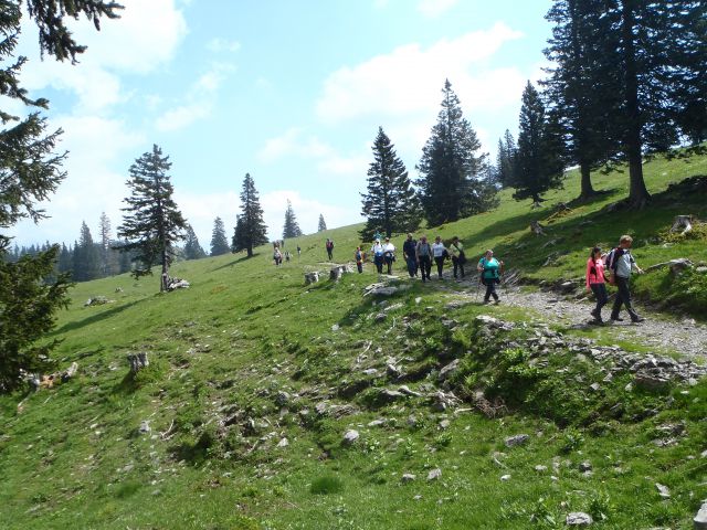 20150530 Velika planina TD Melinci - foto