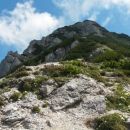 Pogled proti vršnemu delu poti na Košutico