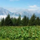 Razgled s poti na Begunjsko Vrtačo, Begunjščico, Vrtačo, Palec in Zelenjak