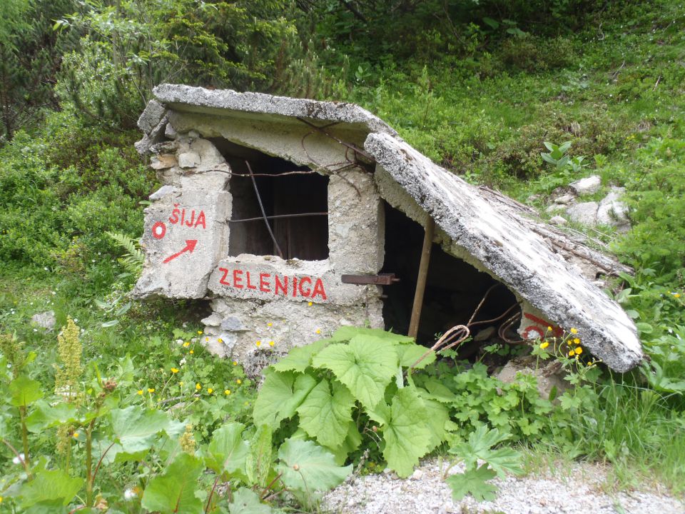 20150621 Srednji v.med Stol in Begunj.-Vrtača - foto povečava