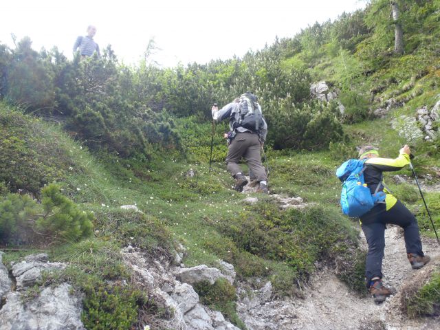 20150621 Srednji v.med Stol in Begunj.-Vrtača - foto