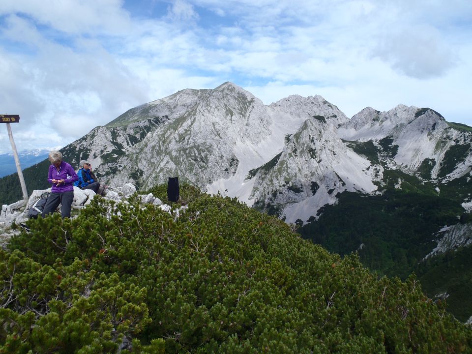 20150621 Srednji v.med Stol in Begunj.-Vrtača - foto povečava