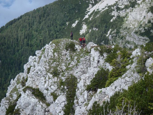 20150621 Srednji v.med Stol in Begunj.-Vrtača - foto