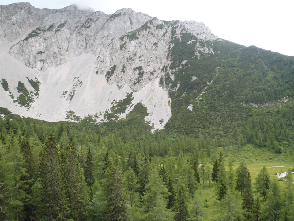 20150621 Srednji v.med Stol in Begunj.-Vrtača - foto povečava