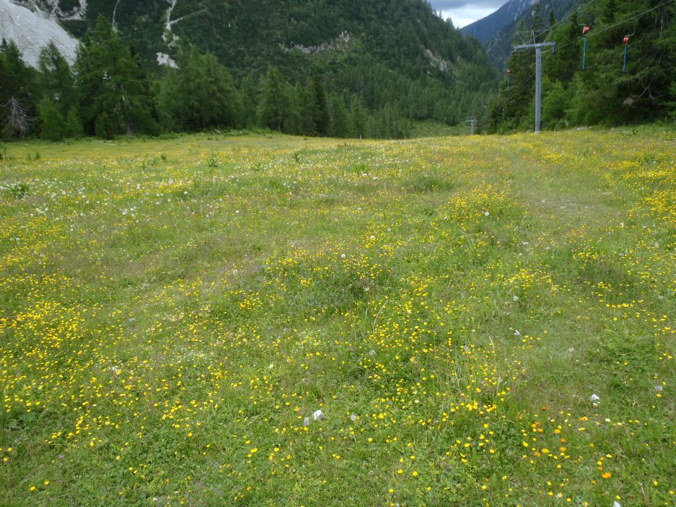 20150621 Srednji v.med Stol in Begunj.-Vrtača - foto povečava