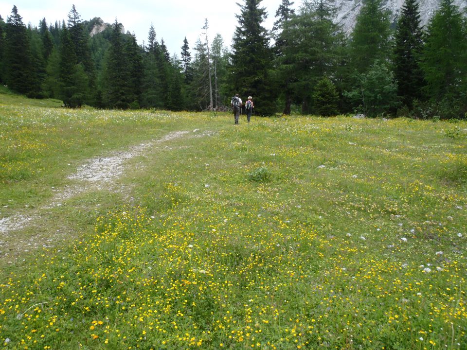 20150621 Srednji v.med Stol in Begunj.-Vrtača - foto povečava