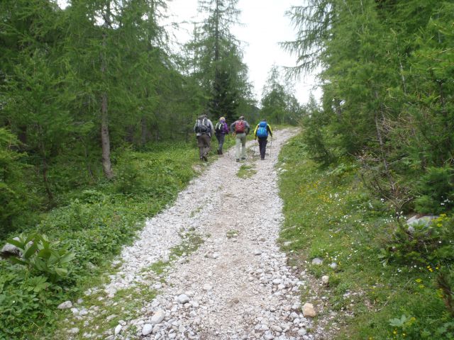 20150621 Srednji v.med Stol in Begunj.-Vrtača - foto