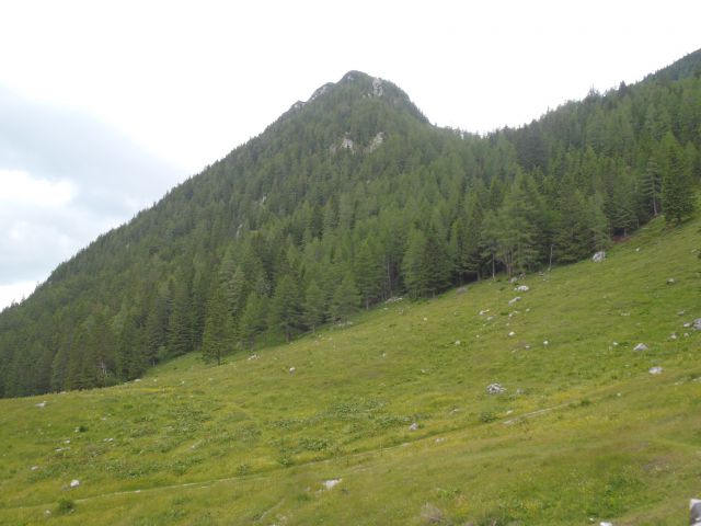 20150621 Srednji v.med Stol in Begunj.-Vrtača - foto