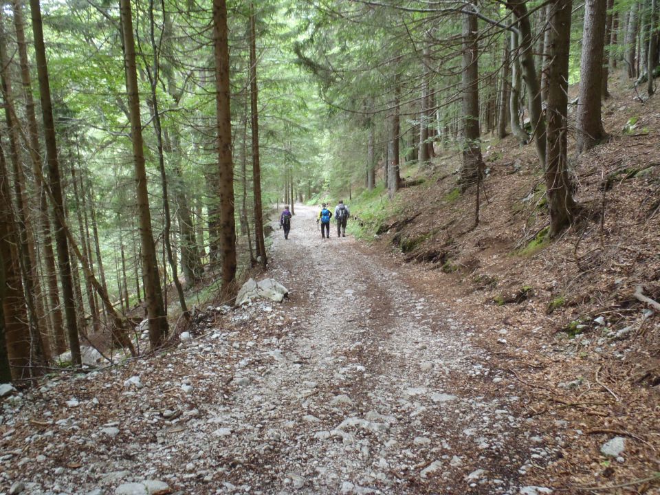 20150621 Srednji v.med Stol in Begunj.-Vrtača - foto povečava