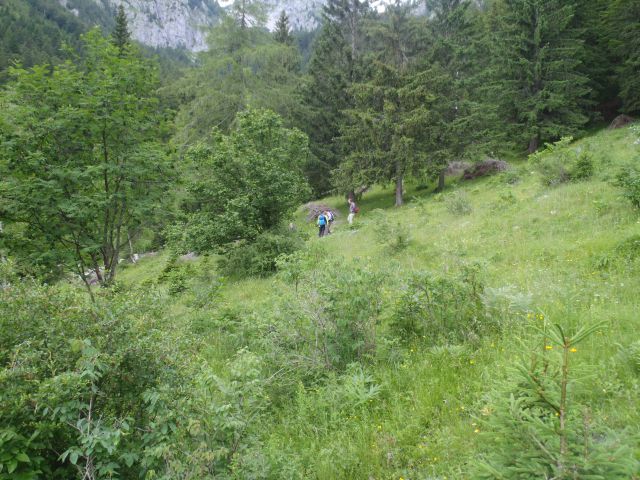 20150621 Srednji v.med Stol in Begunj.-Vrtača - foto